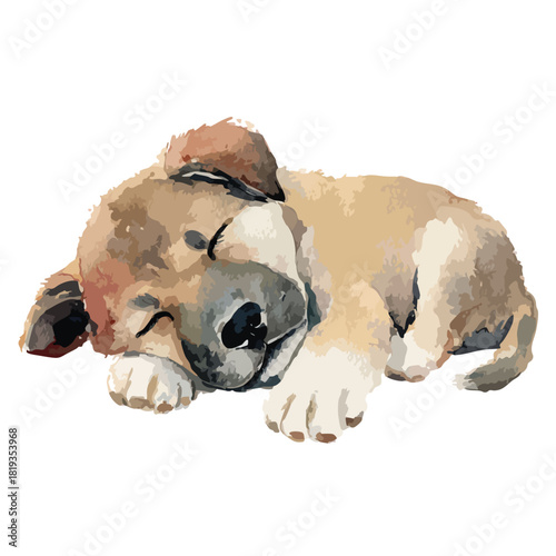 Cute Sleeping Puppy Watercolor Illustration 1.