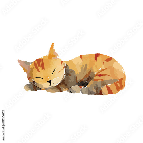 Cute Sleeping Watercolor Cat Illustration.