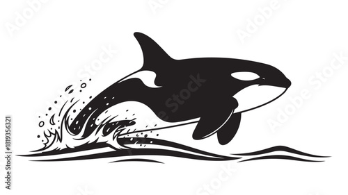Majestic orca leaping from ocean waves in stunning monochrome, perfect for marine life designs and conservation campaigns, evoking a sense of power and wild beauty