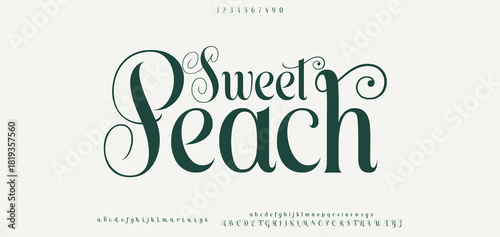 Elegant font alphabet uppercase lowercase and number. Classic lettering minimal fashion designs. Typography modern serif fonts regular decorative vintage concept. Vector illustration