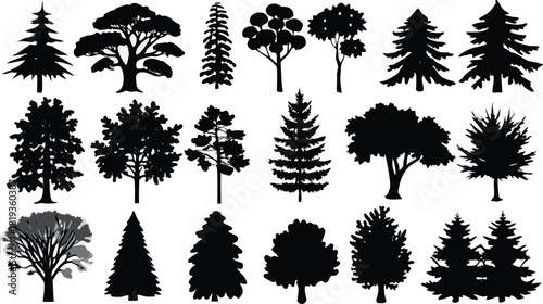 Collection of diverse tree silhouettes representing various coniferous and deciduous tree species.