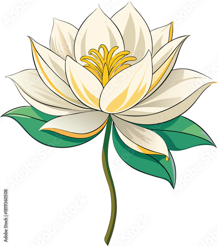 vector illustration of a kadupul flower (Epiphyllum oxypetalum)