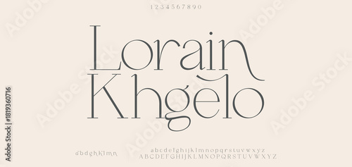 Elegant luxury alphabet letters font and number. Classic Lettering Minimal Fashion Designs. Typography fonts regular uppercase and lowercase. vector illustration