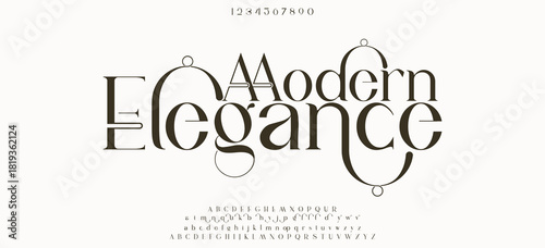 Elegant luxury alphabet letters font and number. Classic Lettering Minimal Fashion Designs. Typography fonts regular uppercase and lowercase. vector illustration