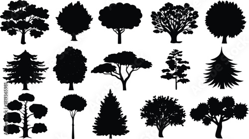 Diverse collection of tree silhouettes vector illustration, various shapes and species for design
