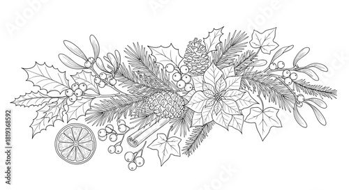 Detailed line art drawing of a christmas arrangement with plant elements