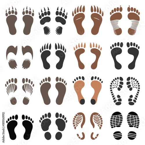Collection of diverse animal paw prints, human footprints, and stylized tracks illustrating various terrestrial movements and species identification.