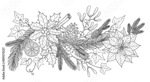 Detailed monochrome line art of christmas foliage and decorative elements