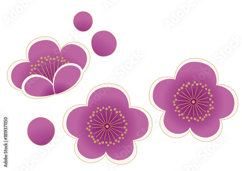 紫の梅のイラスト