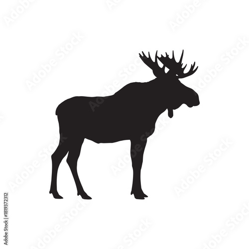 Moose silhouette