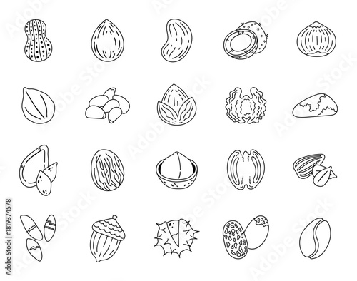 Healthy nut set in outline line art, peanut, almond, cashew, coconut, hazelnut, pistachio, nutlet, pumpkin seed, nutmeg, pecan, sunflower seed, acorn, chestnut, coffee bean