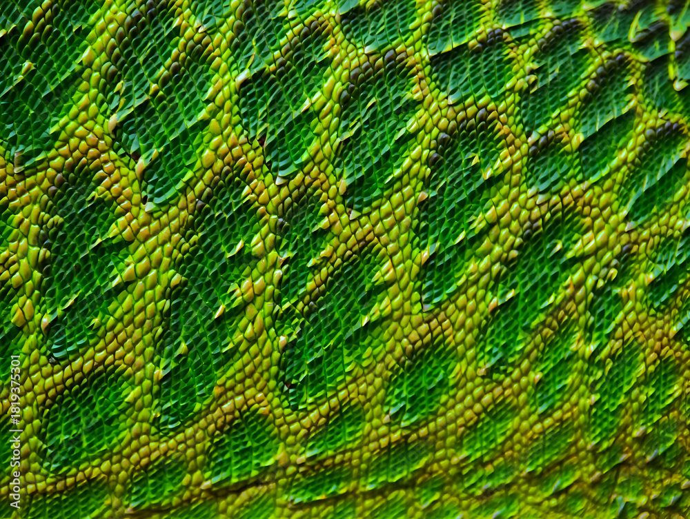 Obraz premium Vibrant green and yellow reptile skin texture, close-up of scales