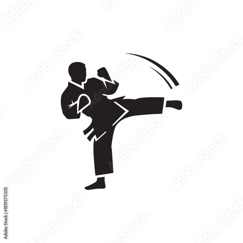Martial artist performing a powerful high kick, demonstrating skill and agility, isolated on