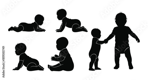 Baby development stages silhouette vector illustration art