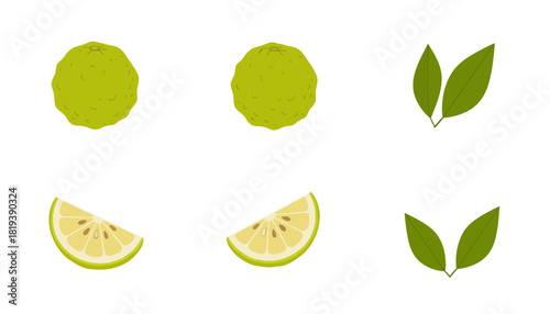 Illustration of yuzu fruit whole and sliced with leaves isolated on transparent background