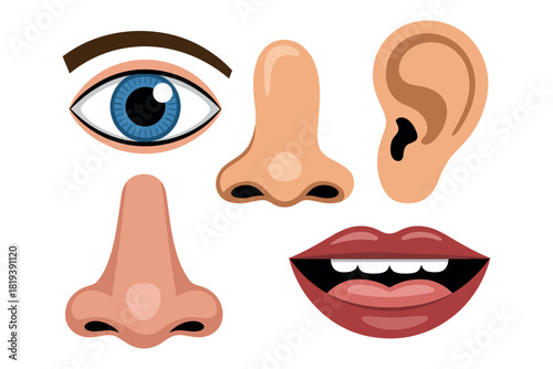 An assortment of facial features including eyes, noses, lips, and ears are displayed.