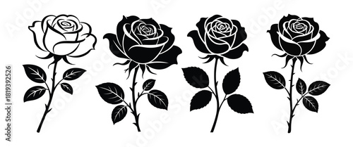 Vector set of rose silhouettes, outline and solid flower designs