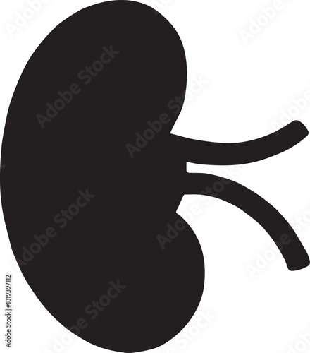 Minimalist Black Kidney Vector for Health and Wellness