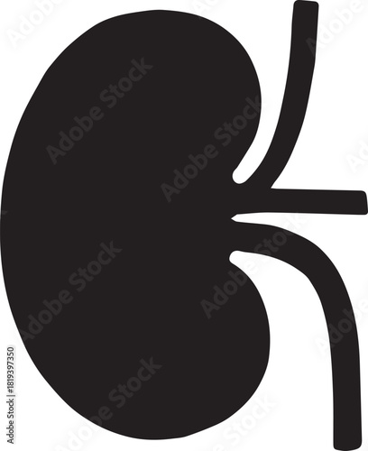 Minimalist Black Kidney Vector for Health and Wellness