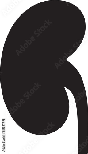 Minimalist Black Kidney Vector for Health and Wellness