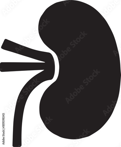Minimalist Black Kidney Vector for Health and Wellness