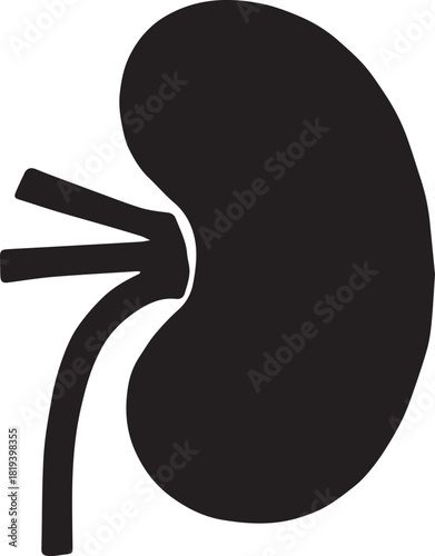 Minimalist Black Kidney Vector for Health and Wellness
