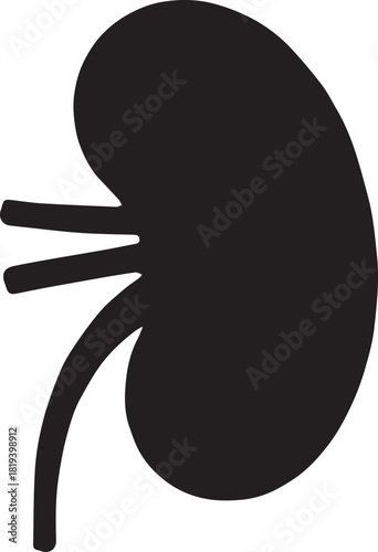 Minimalist Black Kidney Vector for Health and Wellness