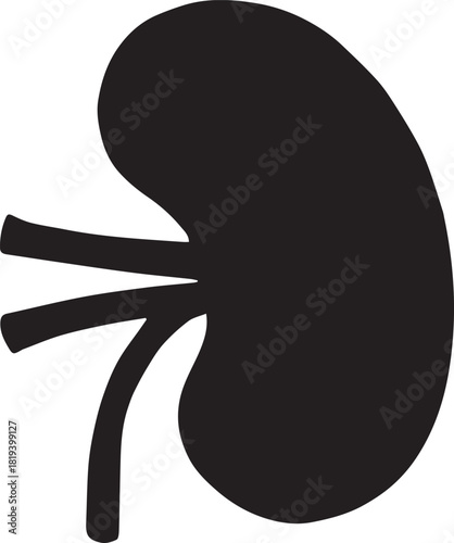 Minimalist Black Kidney Vector for Health and Wellness