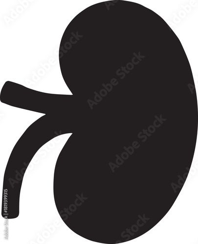 Minimalist Black Kidney Vector for Health and Wellness