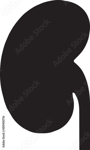 Minimalist Black Kidney Vector for Health and Wellness