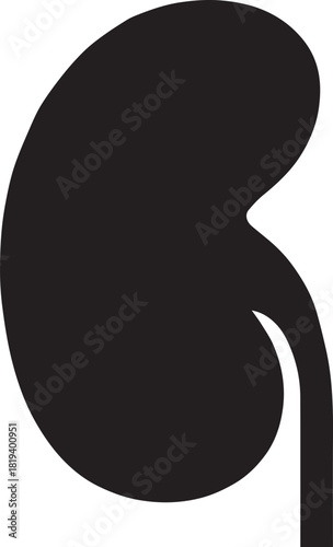 Minimalist Black Kidney Vector for Health and Wellness