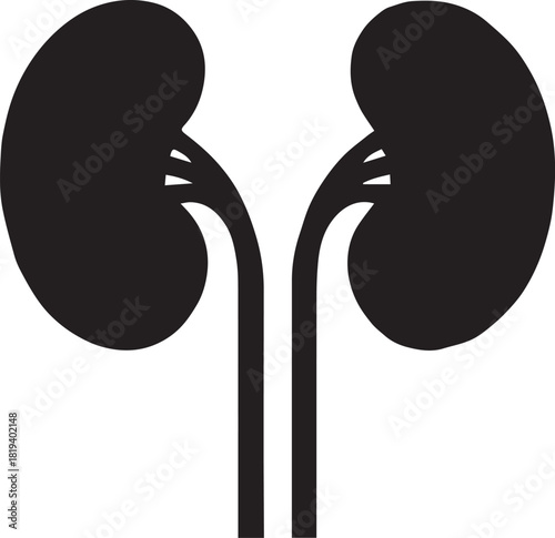 Minimalist Black Kidney Vector for Health and Wellness