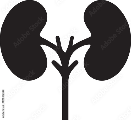 Minimalist Black Kidney Vector for Health and Wellness