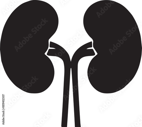 Minimalist Black Kidney Vector for Health and Wellness