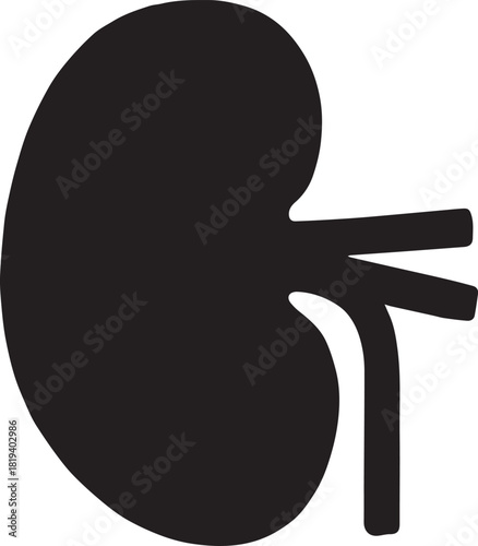 Minimalist Black Kidney Vector for Health and Wellness