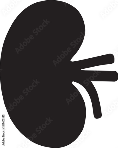 Minimalist Black Kidney Vector for Health and Wellness