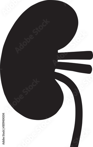 Minimalist Black Kidney Vector for Health and Wellness