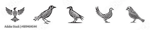bird skeleton silhouette vector
