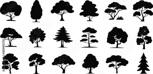 Tree silhouette set with diverse foliage, trunk shapes, branching patterns, botanical icons, forest elements, and landscape design assets