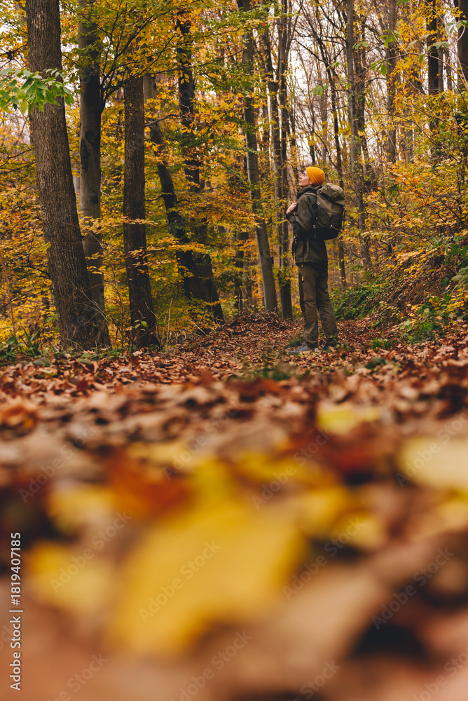 Fototapeta premium Person Hiking in Forest during Autumn Season