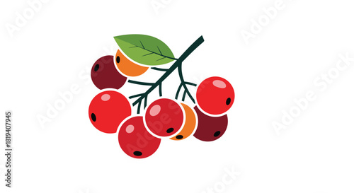 A simple and colorful flat icon of a small bunch of red and orange berries hanging from a branch with a green leaf.