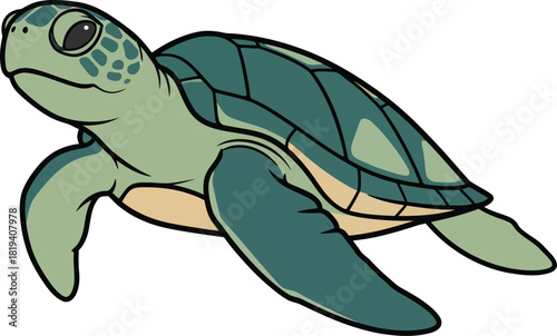 Cute sea turtle vector illustration ocean animal graphics for design