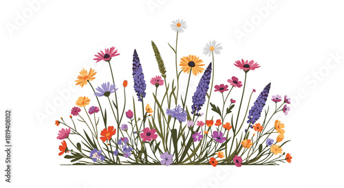 A beautiful and vibrant collection of colorful wildflowers blooming in a field, perfect for a fresh spring or summer design.