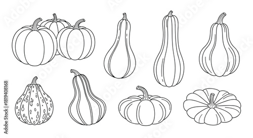 Hand-drawn line art illustration featuring a variety of pumpkins and gourds, perfect for fall, harvest, and Halloween-themed designs.