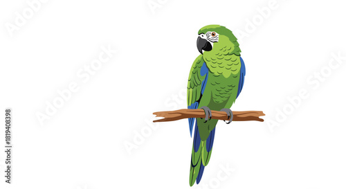 A vibrant green parrot with blue accents perches peacefully on a wooden branch, its gaze directed to the left.