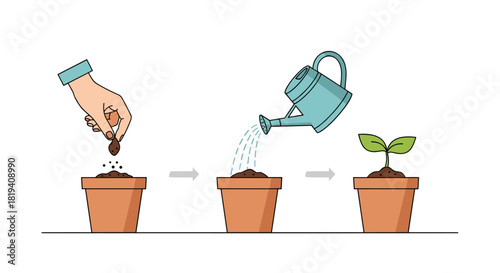 An infographic illustrating the stages of plant growth from sowing a seed to watering and sprouting in a terra cotta pot.