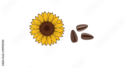 A vibrant yellow sunflower with a dark brown center is depicted alongside three distinctively striped sunflower seeds on a clean white background.