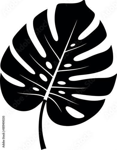 Bold black silhouette of a monstera deliciosa leaf