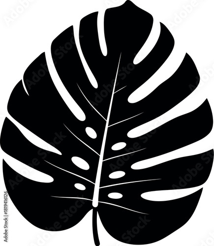 Bold black silhouette of a monstera deliciosa leaf