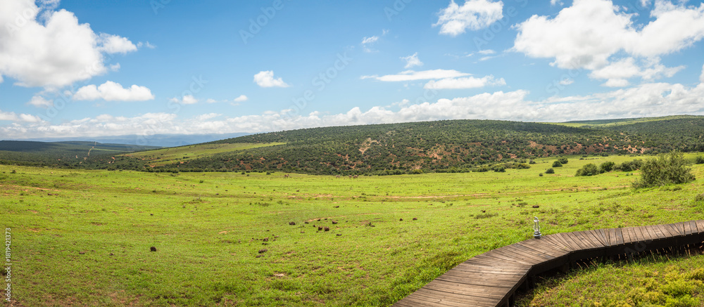 Fototapeta premium Beautiful scenery at Addo Elephant National Park, South Africa.